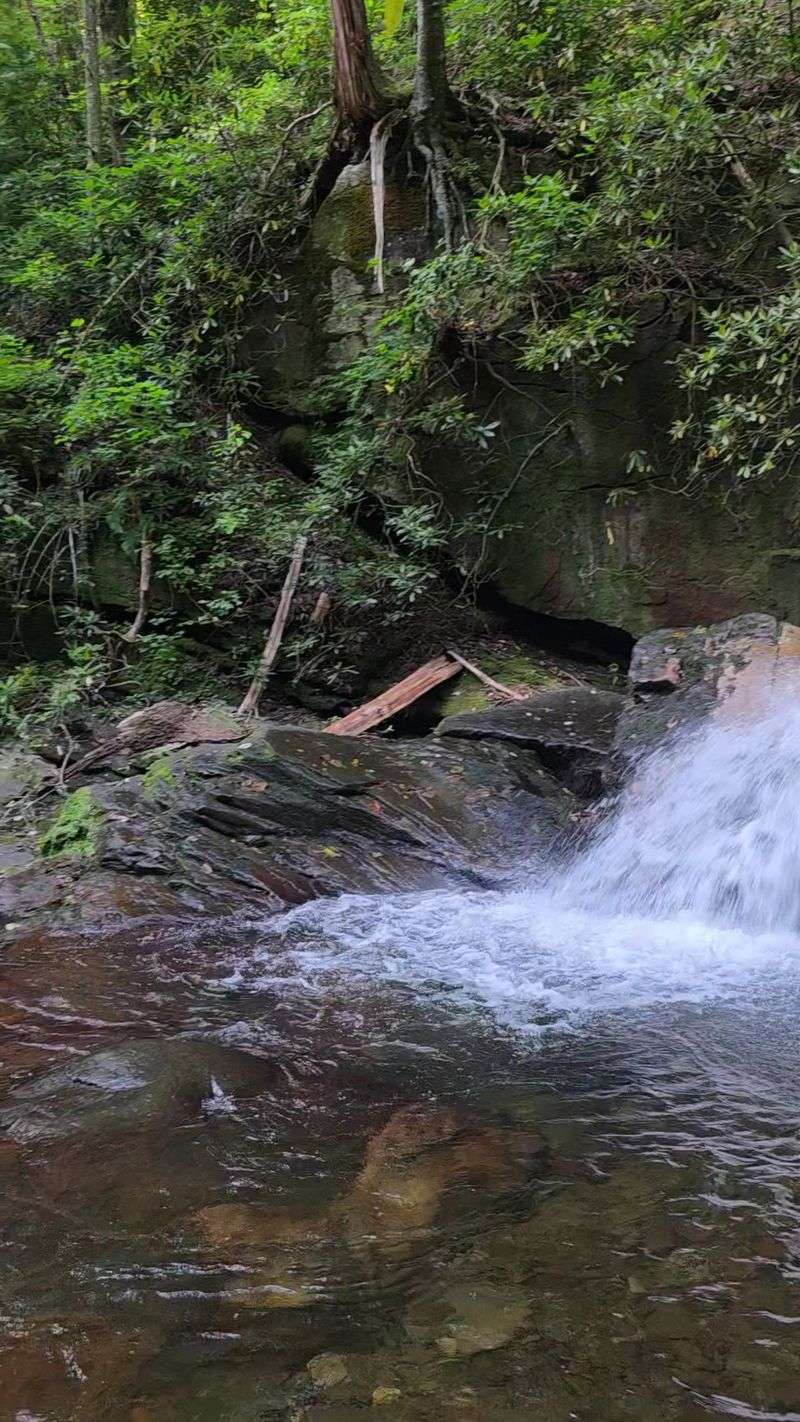 Swimming Holes Along the Way Provide Summer Relief