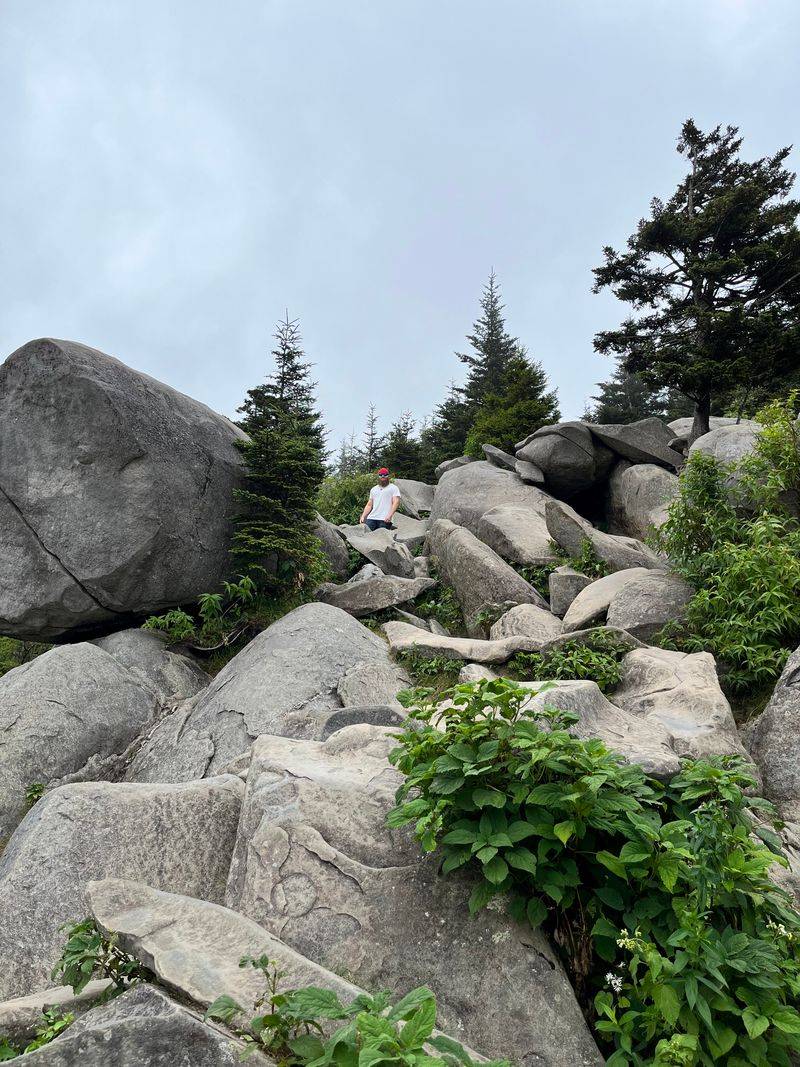 Making The Journey Your Own Adventure