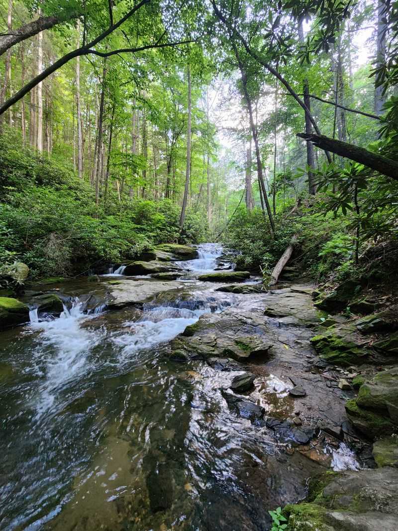 A Five-Mile Round Trip That's Perfect for Families