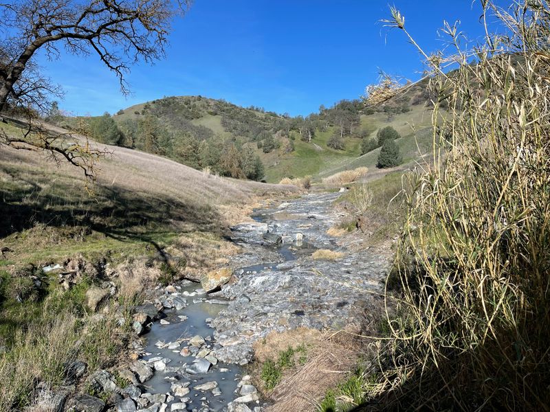 The Resort Sits On 1,800 Acres Of Nature Preserve