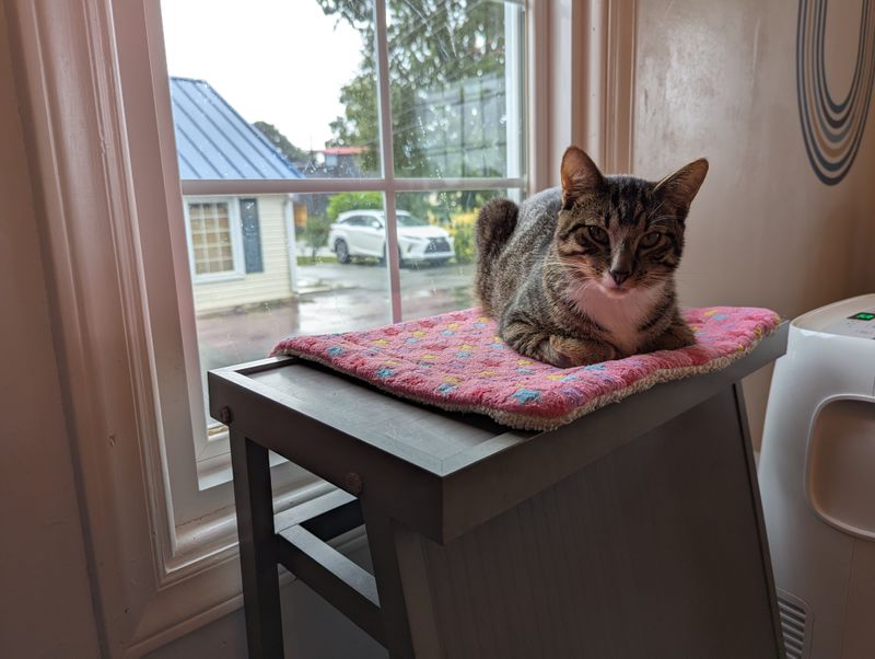 Student Discounts That Actually Help