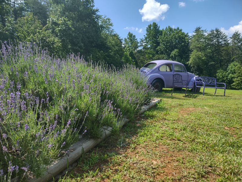 Perfect Day Trip Distance From Atlanta