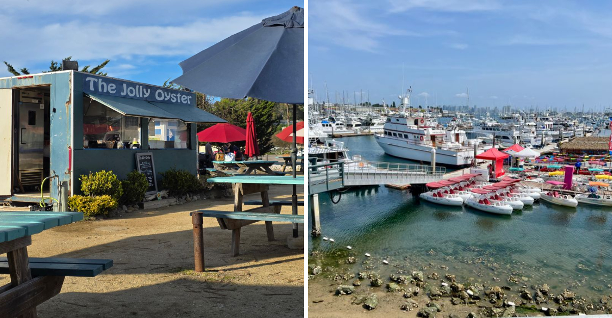 These 15 Tiny California Seafood Shacks Serve The Kind Of Food You Plan A Trip Around - Decor Hint