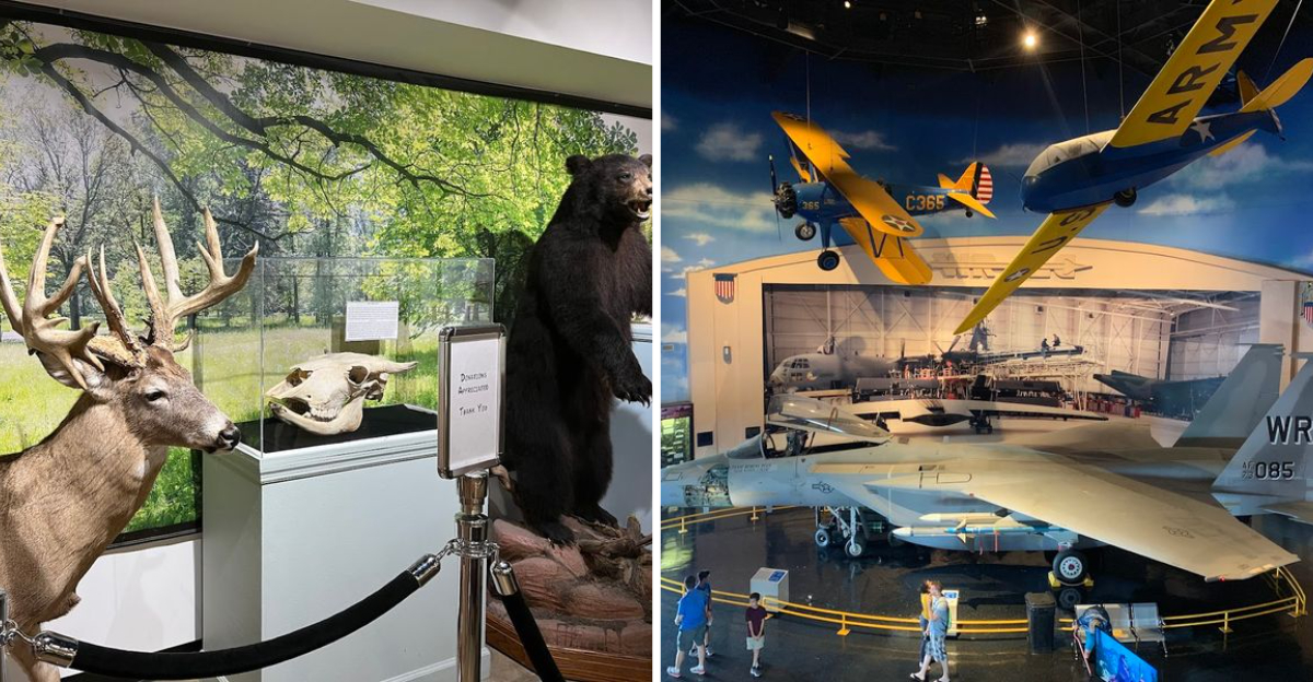 These 17 Georgia Museums Are Free To Visit in 2026 For Museums For All - Decor Hint