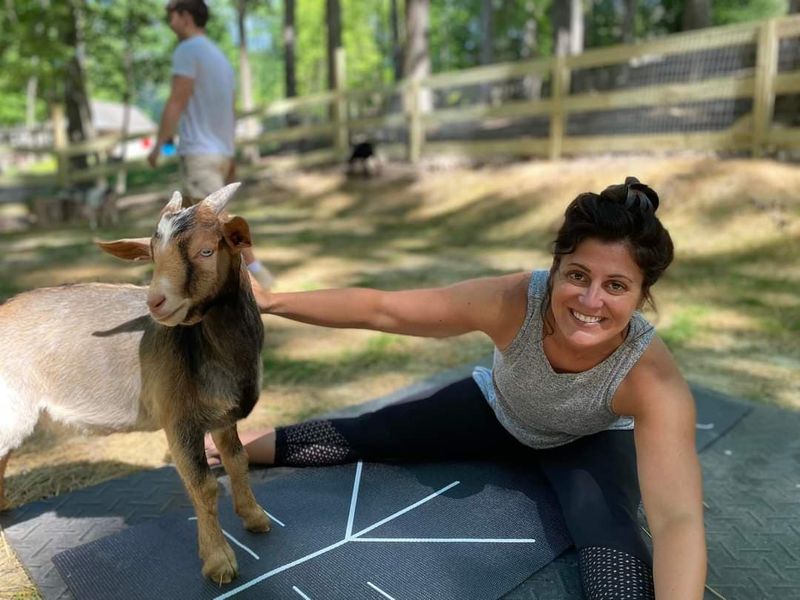 Goat Yoga Sessions