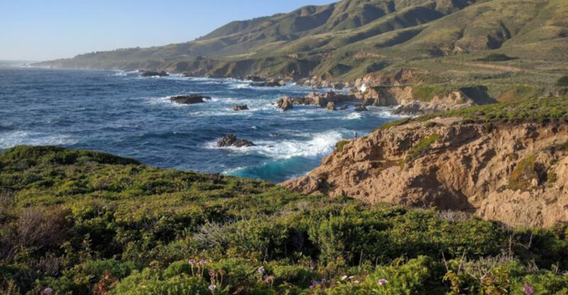 These Are 14 Hidden California Beaches That Are Most Beautiful In Spring