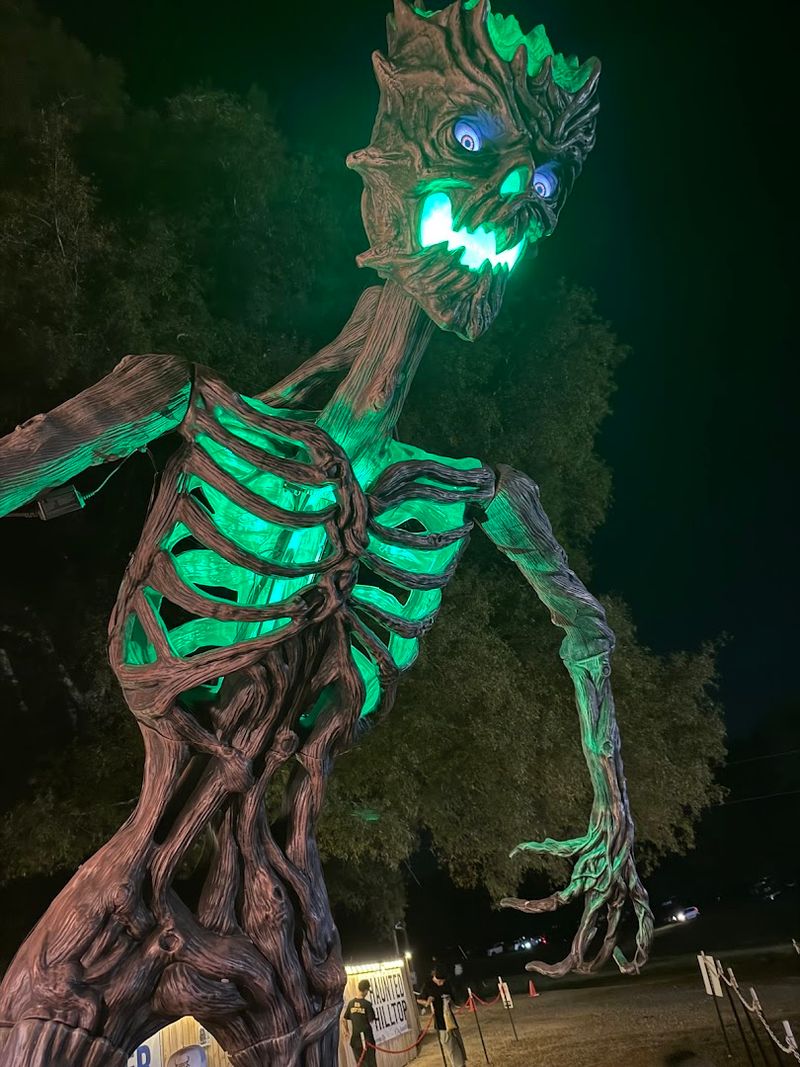 The Haunted Hayride Through Dark Woods