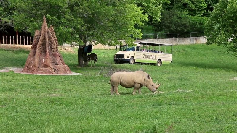 North Carolina Zoo, Asheboro, North Carolina
