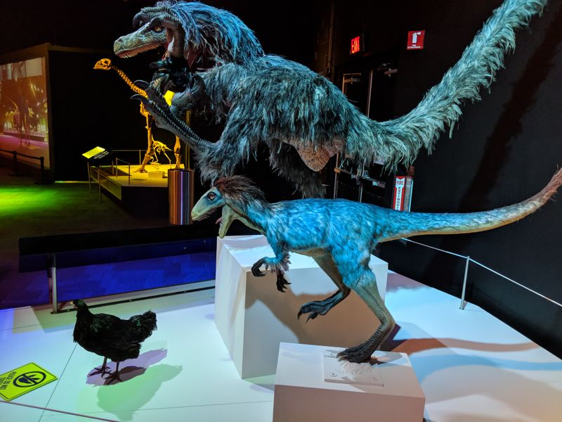 Explore More Collections Connects Nature