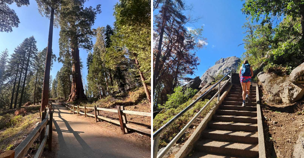 This 1 Mile California Hike Feels Almost Too Beautiful To Be Real - Decor Hint