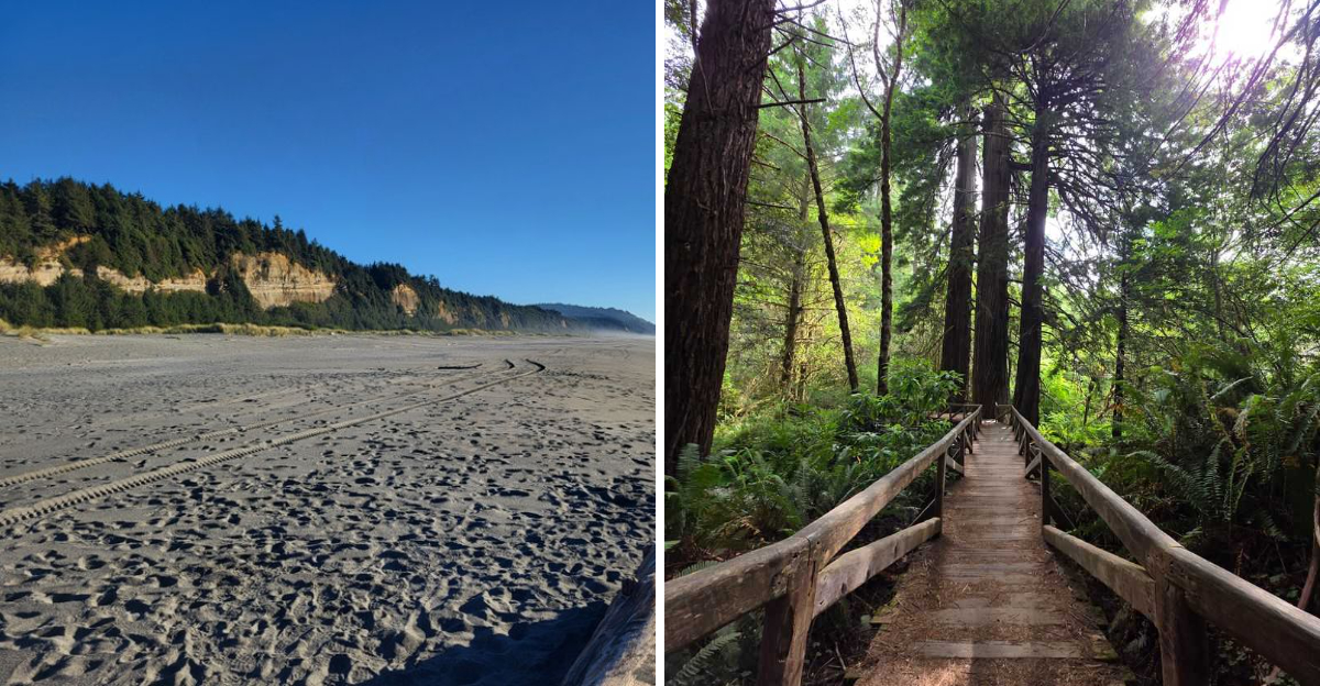 This 14000 Acre State Park In California Is One Of Americas Top Secrets - Decor Hint