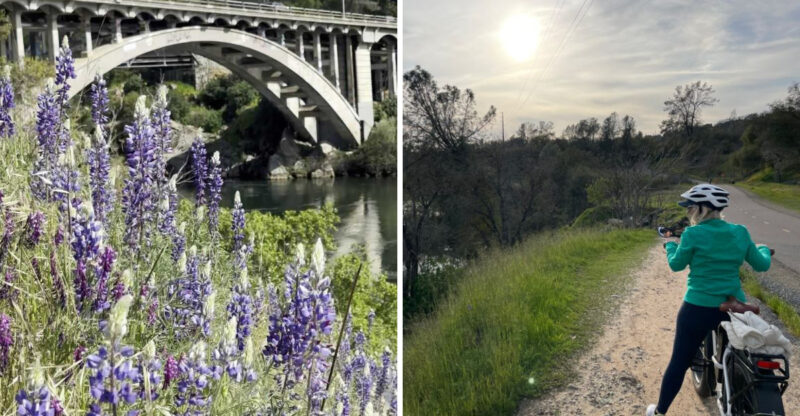 This 32-Mile California Rail Trail Near Fair Oaks Feels Made For A Spring Ride