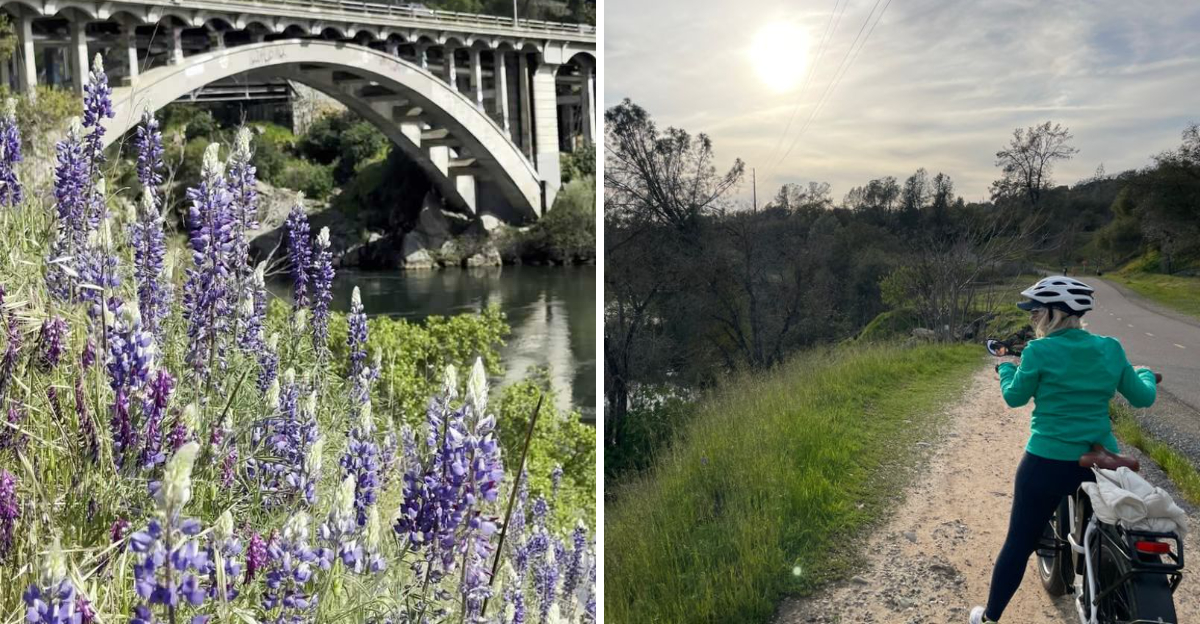 This 32 Mile California Rail Trail Near Fair Oaks Feels Made For A Spring Ride - Decor Hint