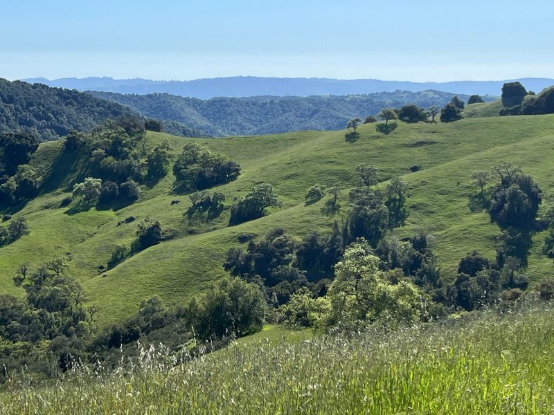 Northern California's Largest State Park