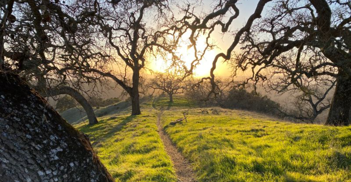 This 87000 Acre State Park In California Is One Of Americas Secret Wonders - Decor Hint