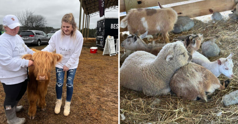 This Authentic Georgia Farm Blessing Creek Farms Georgia Brings Country Living To Life In 2026