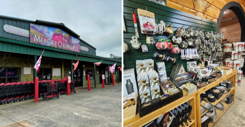 This Beloved Mountain Farm Mercier Orchards Blue Ridge Georgia Is A 2026 Must-Visit