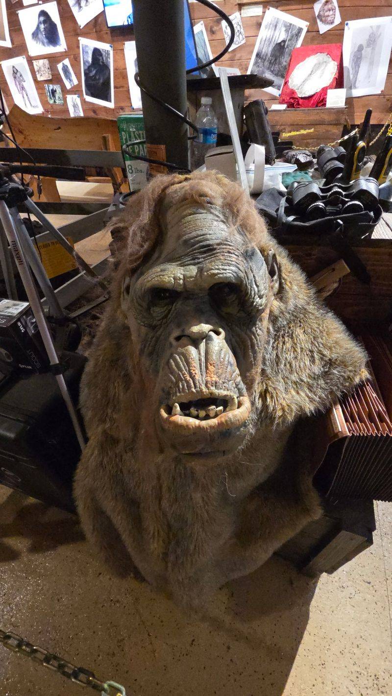 Hear Authentic Alleged Bigfoot Vocalizations