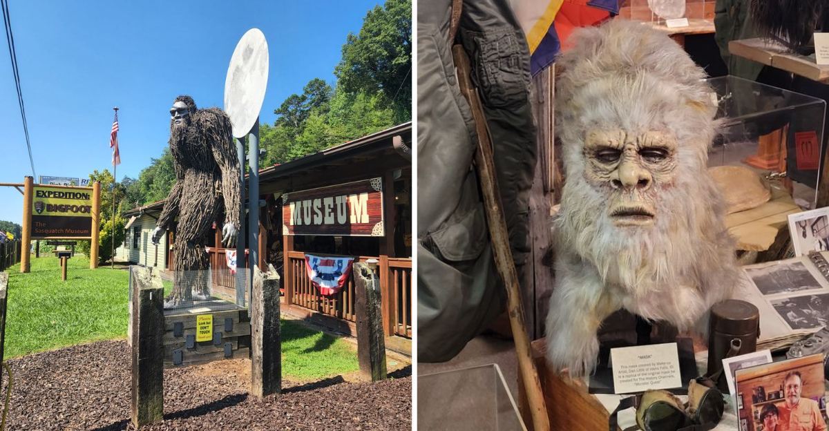 This Blue Ridge Georgia Museum Lets You Hear Alleged Bigfoot Vocalizations - Decor Hint