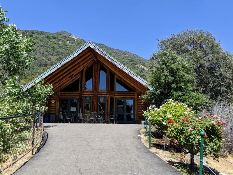 A Big Cat Sanctuary In Central California