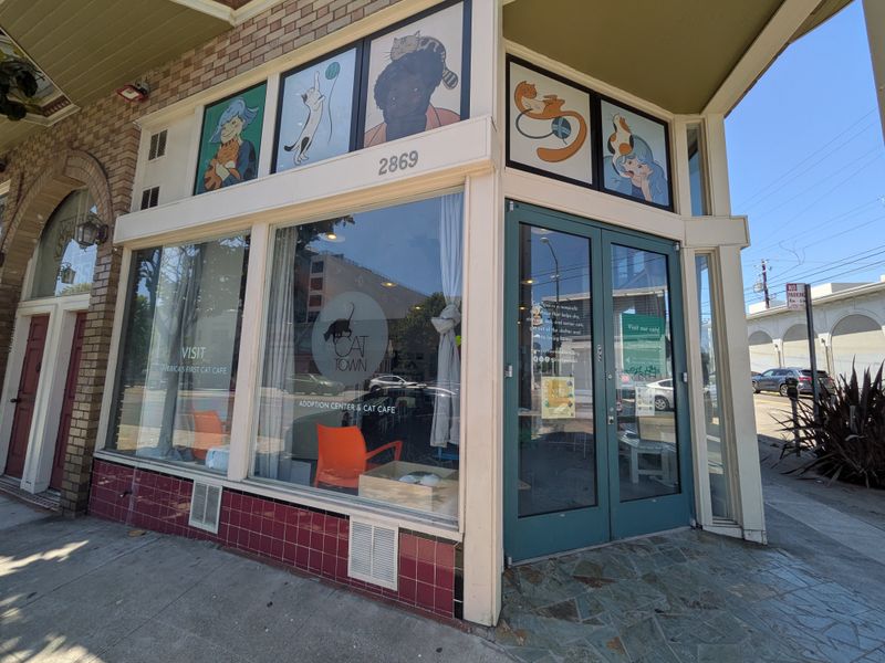 America's First Cat Café Opened Right Here