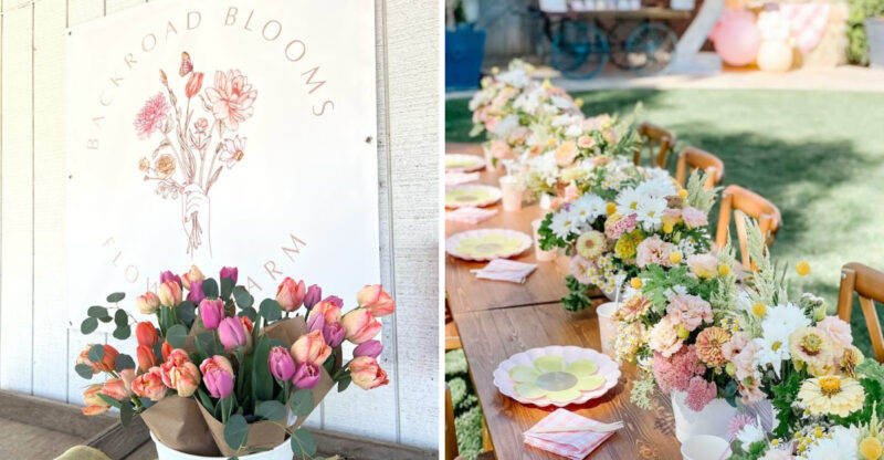 This California Flower Farm Reopens In February And It Is Pure Bloom Overload