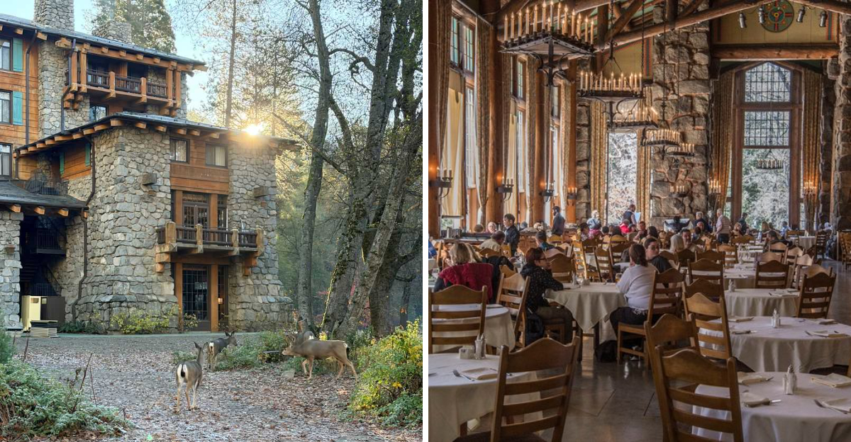 This California Restaurant In Yosemite Feels Like Dining Inside A Mountain Cathedral - Decor Hint