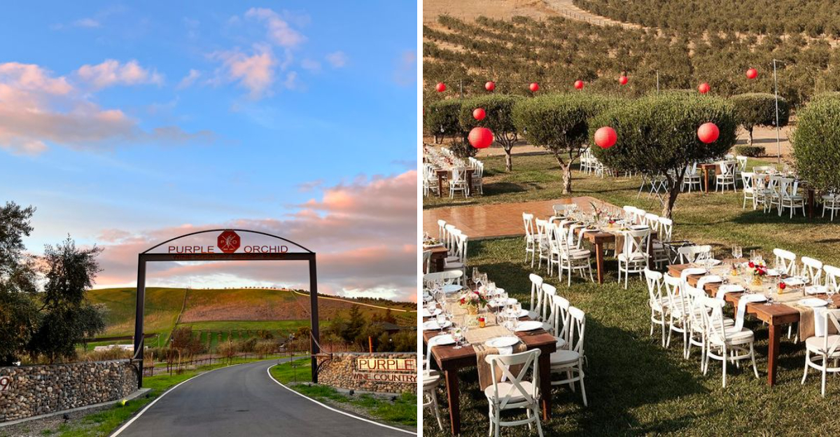 This California Wine Country Resort Is Made For Slow Mornings And Romantic Getaways - Decor Hint