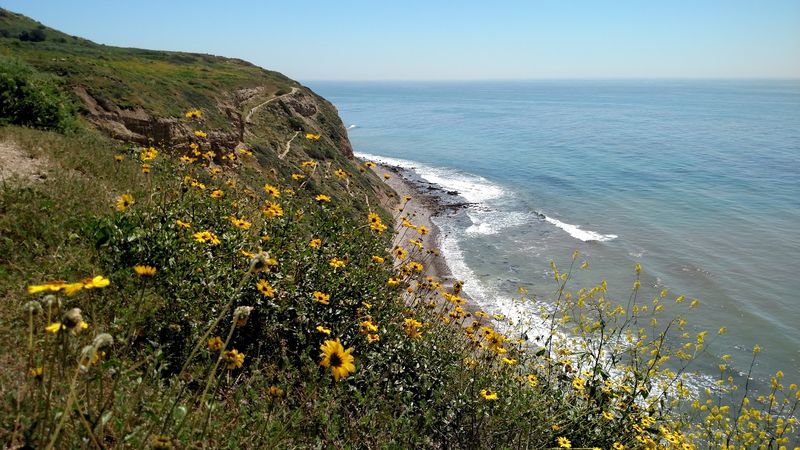 This Captivating Southern California Coastal Drive Is Even More Stunning In March - Decor Hint Wildflower Blooms Along The Peninsula