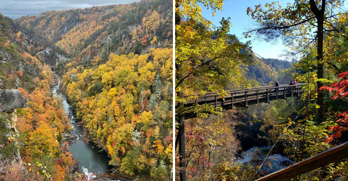 This Challenging Georgia Hike Leads To A Natural Water Slide Inside A 1000 Foot Gorge - Decor Hint