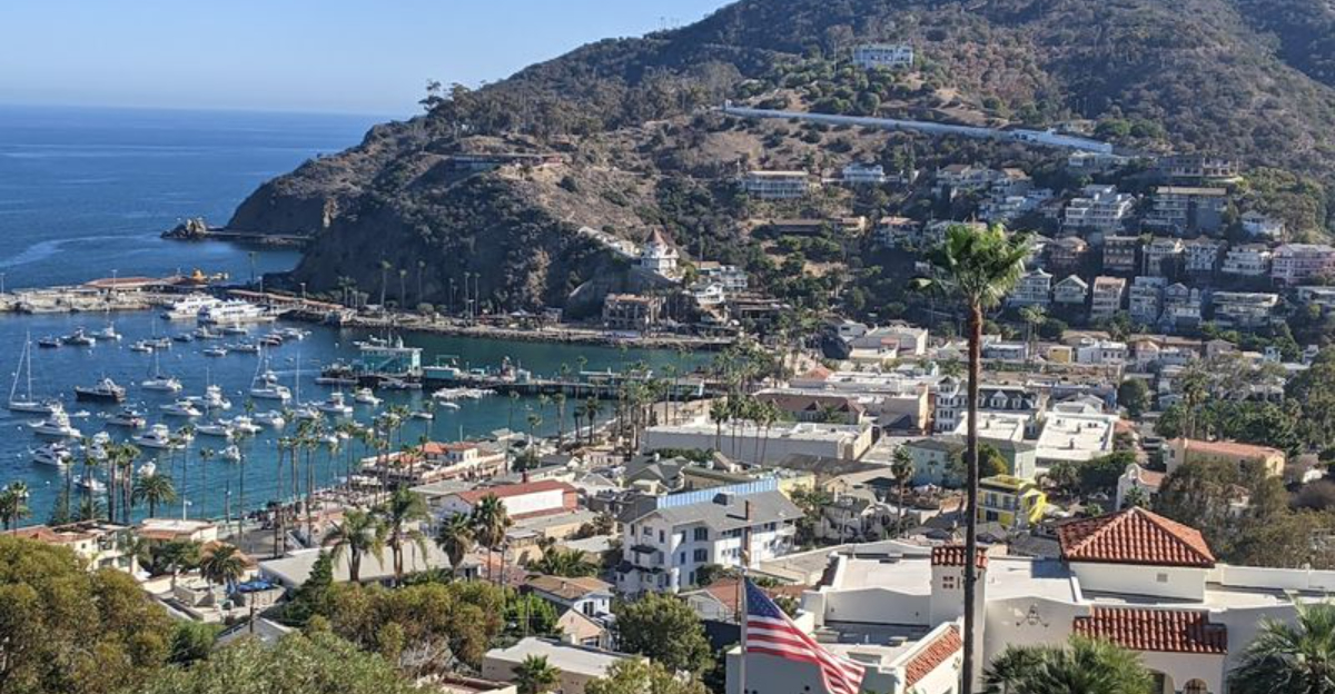 This Charming California Town Feels Almost Too Perfect To Be Real Especially In March - Decor Hint