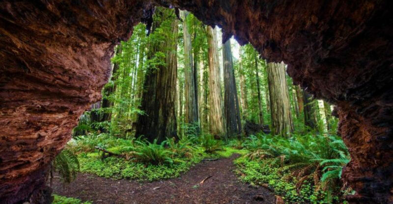 This County In Northern California Truly Is A Magical Place