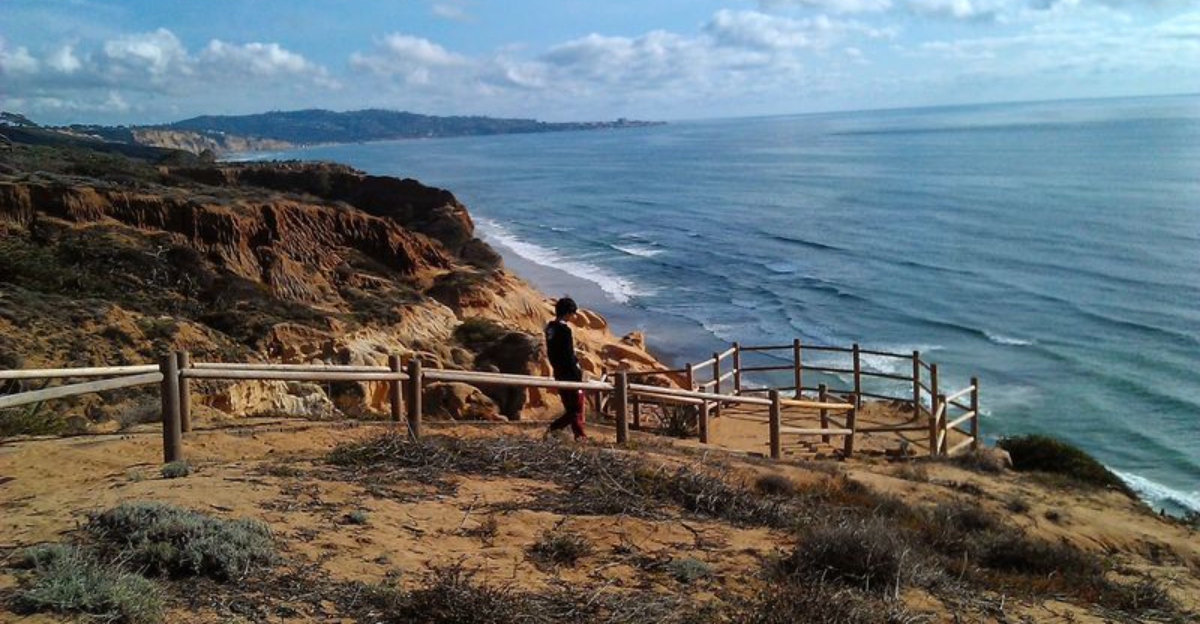 This Easy 1 Mile Coastal Trail In California Delivers Some Of The States Best Ocean Views - Decor Hint