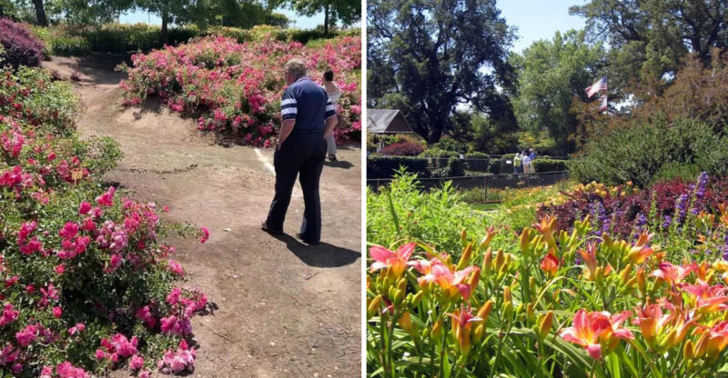 This Flower Farm In California Is A Must-Visit In March With Fields That Look Like A Spring Painting