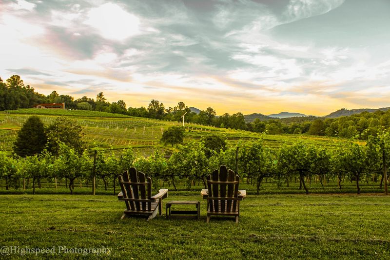 This Georgia Vineyard Turns A Simple Glass Of Wine Into A Moment - Decor Hint The Breathtaking Mountain Views