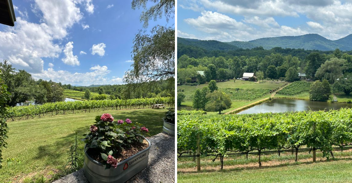 This Georgia Vineyard Turns A Simple Glass Of Wine Into A Moment - Decor Hint