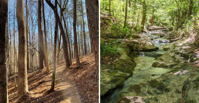 This Haunted Campground In Georgia Will Give You Chills