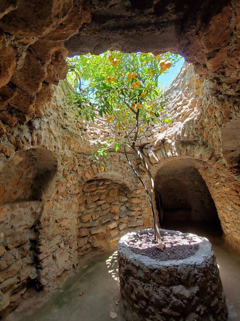 A Sicilian Immigrant's Bold Vision