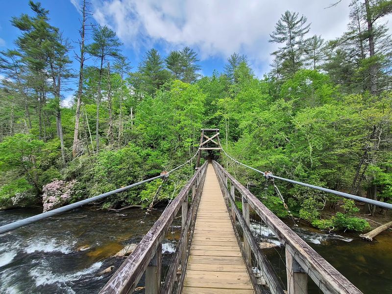 This Is Where You'll Find Georgia's Longest Swinging Bridge Hanging Suspended Over A Pristine River - Decor Hint A Record-Breaking Span Worth Crossing