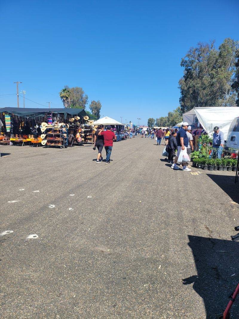 Twice-Weekly Shopping Opportunity