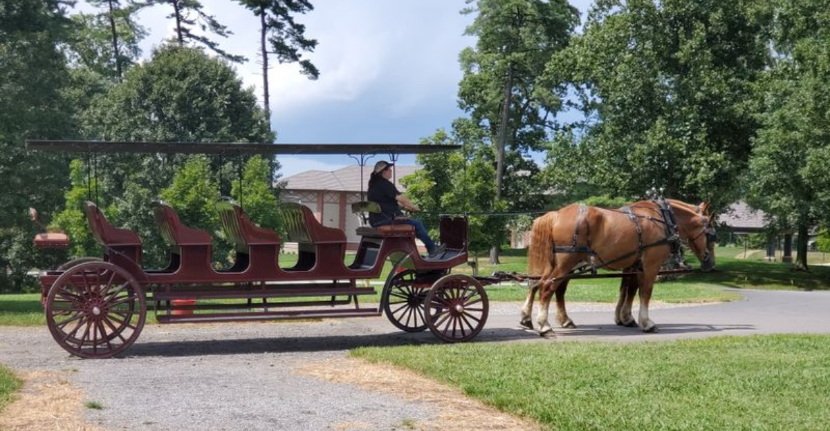 This North Carolina Carriage Ride Feels Straight Out Of A Fairytale - Decor Hint