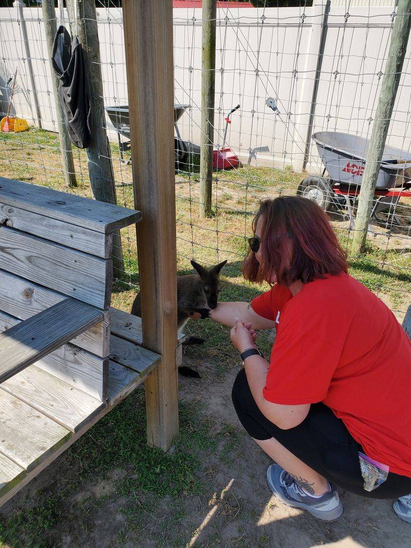 This North Carolina Sanctuary Turns Into A Summer Safari Adventure - Decor Hint Guided Tours That Break Every Zoo Rule You've Ever Known