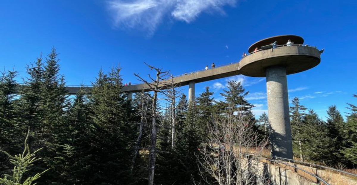 This North Carolina Skyline Trail Feels Like Standing On Top Of The World - Decor Hint