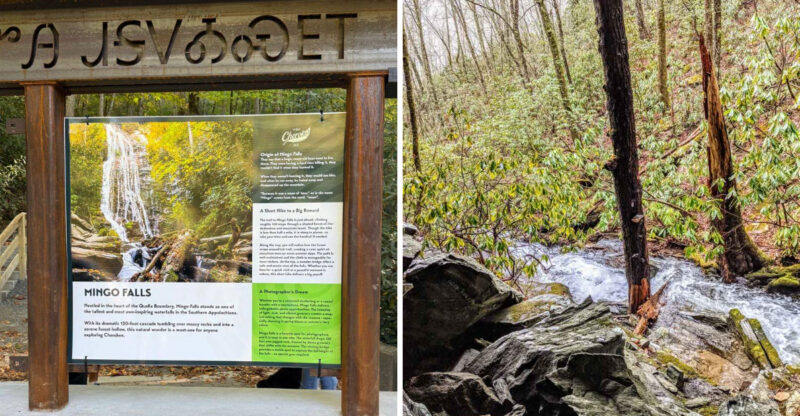 This North Carolina Stairway Trail Turns Into A Spring Wonderland