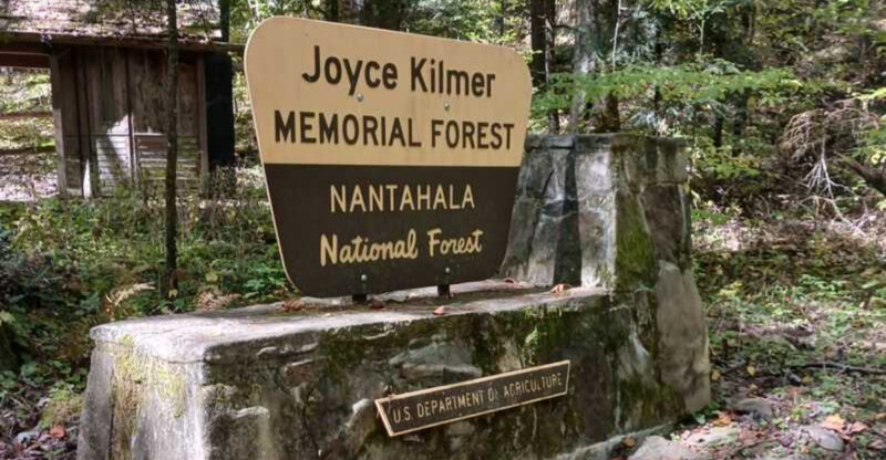 This North Carolina Woodland Trail Is Spring’s Most Magical Escape