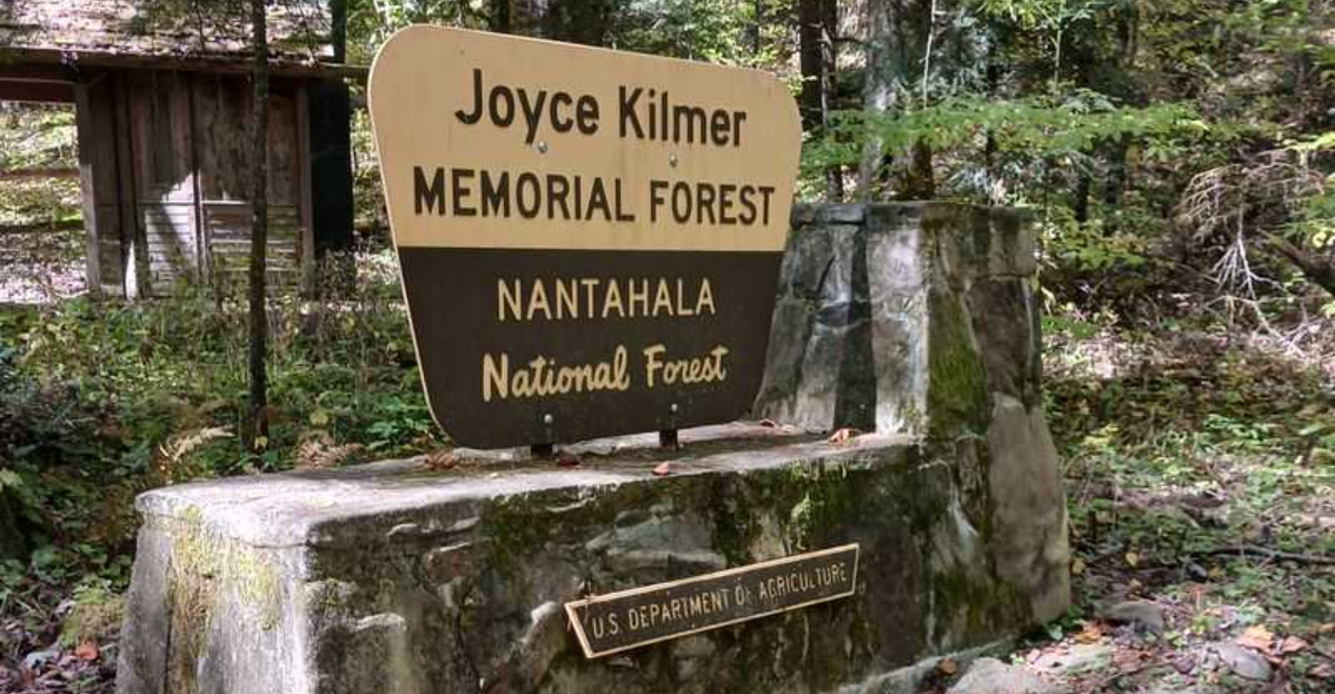 This North Carolina Woodland Trail Is Springs Most Magical Escape - Decor Hint