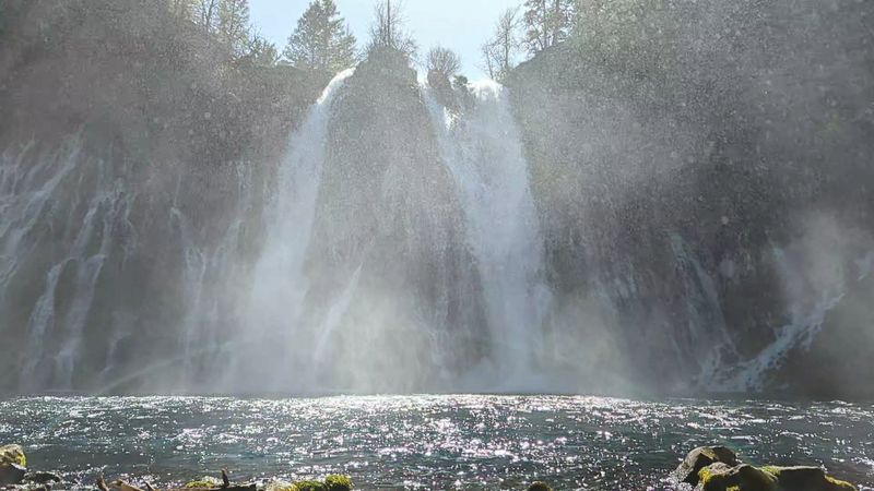 Black Swifts Choose Waterfall Homes