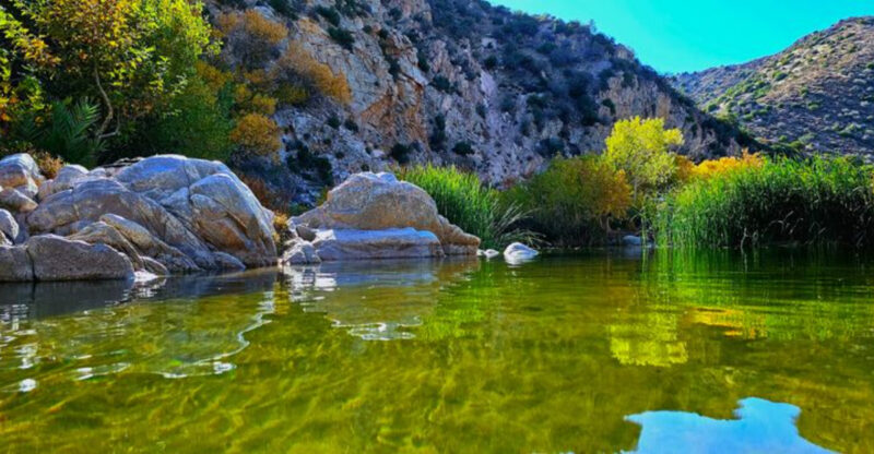 This Otherworldly California Desert Oasis Is One Of The State’s Most Unexpected Surprises