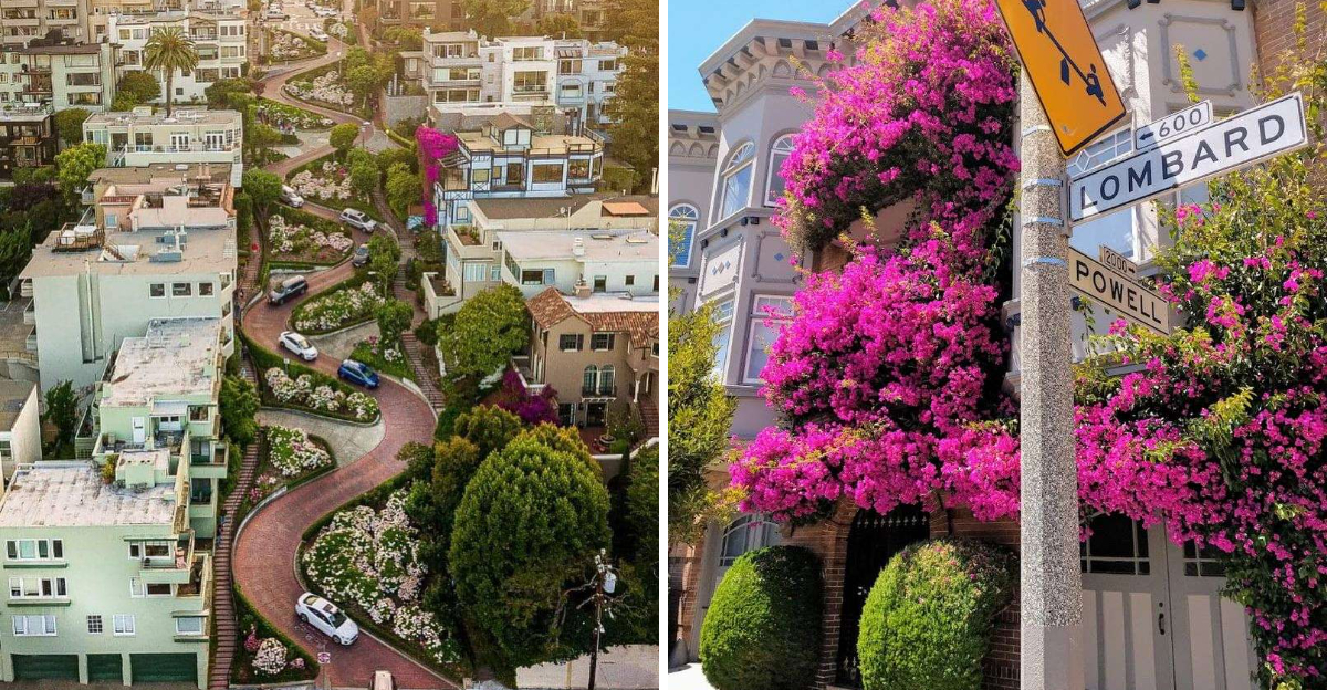 This San Francisco Street In California Is So Crooked It Became World Famous 2 - Decor Hint