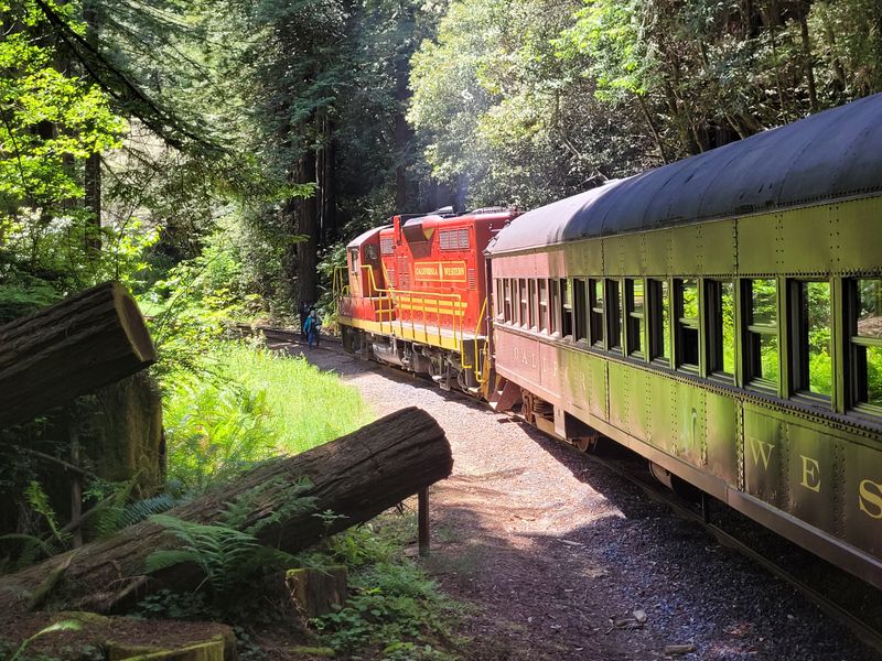 Historic Logging Railway Transformed Into Passenger Experience